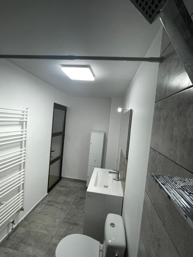 Casa Dan Apartment Buzau Ngoại thất bức ảnh