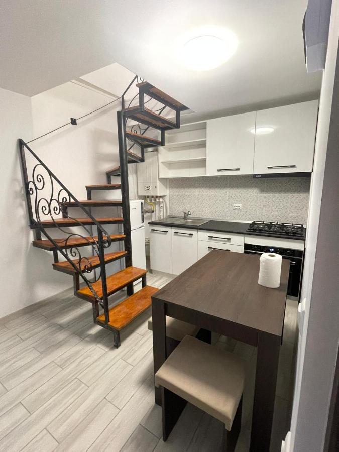 Casa Dan Apartment Buzau Ngoại thất bức ảnh