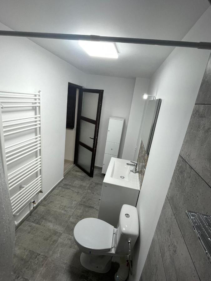 Casa Dan Apartment Buzau Ngoại thất bức ảnh