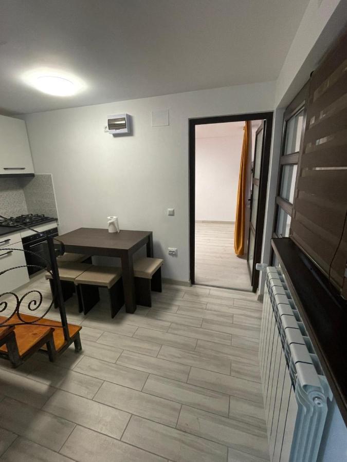 Casa Dan Apartment Buzau Ngoại thất bức ảnh