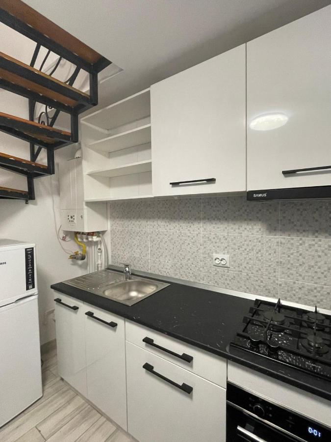 Casa Dan Apartment Buzau Ngoại thất bức ảnh