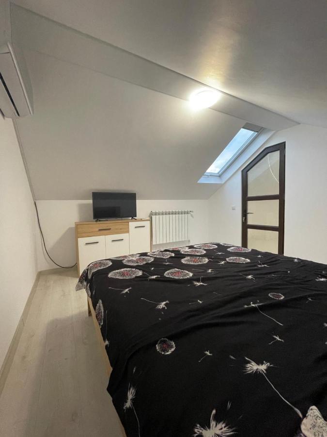 Casa Dan Apartment Buzau Ngoại thất bức ảnh